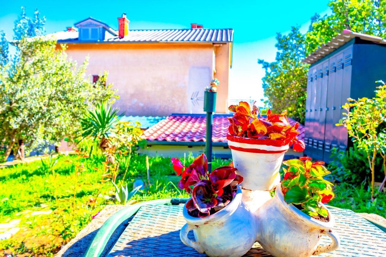 Vacation Home Grill & Chill With 350M2 Garden With Bbq 诺维·维诺多尔斯基 外观 照片